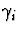 $\gamma_i$