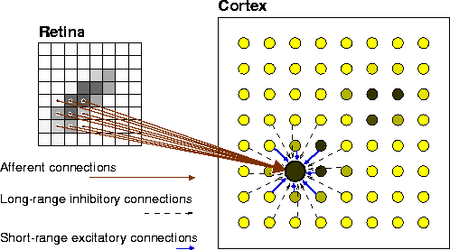 \begin{figure}
\centering
 
\resizebox {0.8\oneplotwidth}{!}{\includegraphics{ps/rf-lissom-architecture-bw.ps}}

 \end{figure}
