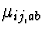 $\mu_{ij,ab}$